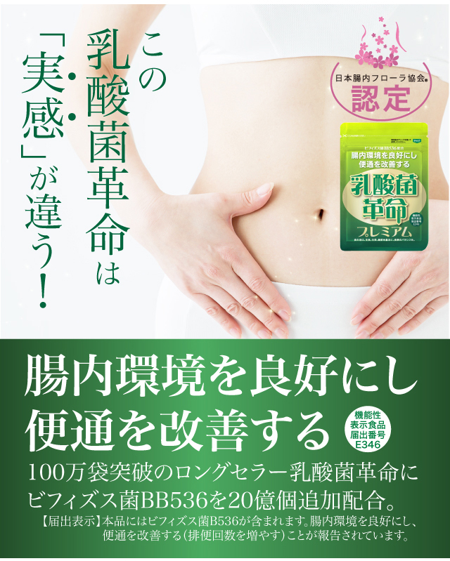 極美品】 専用ページ 乳酸菌革命 20個セット | artfive.co.jp