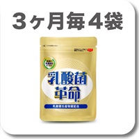 乳酸菌革命【定期】3ヶ月毎4袋