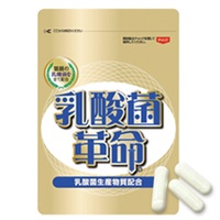 【30%OFF】乳酸菌革命12袋セット