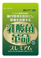 【30%OFF】乳酸菌革命プレミアム12袋セット