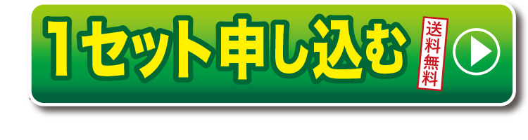 クーポンで半額