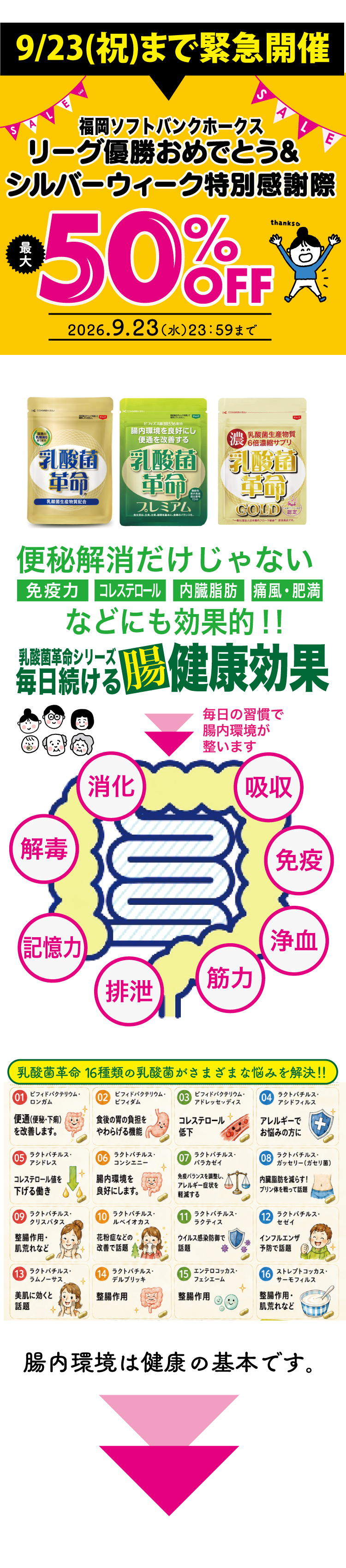初売りセール