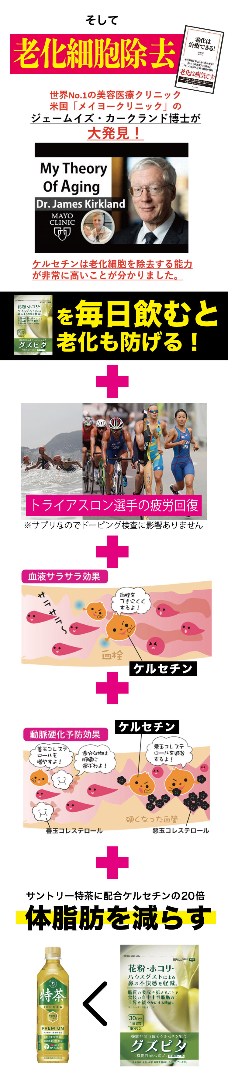 なぜ高いグズピタ2