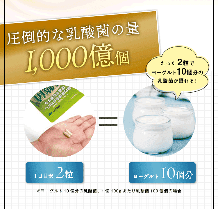 乳酸菌の量1000億個