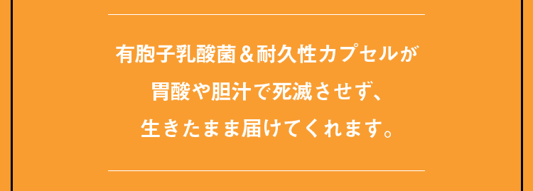 有胞子性乳酸菌