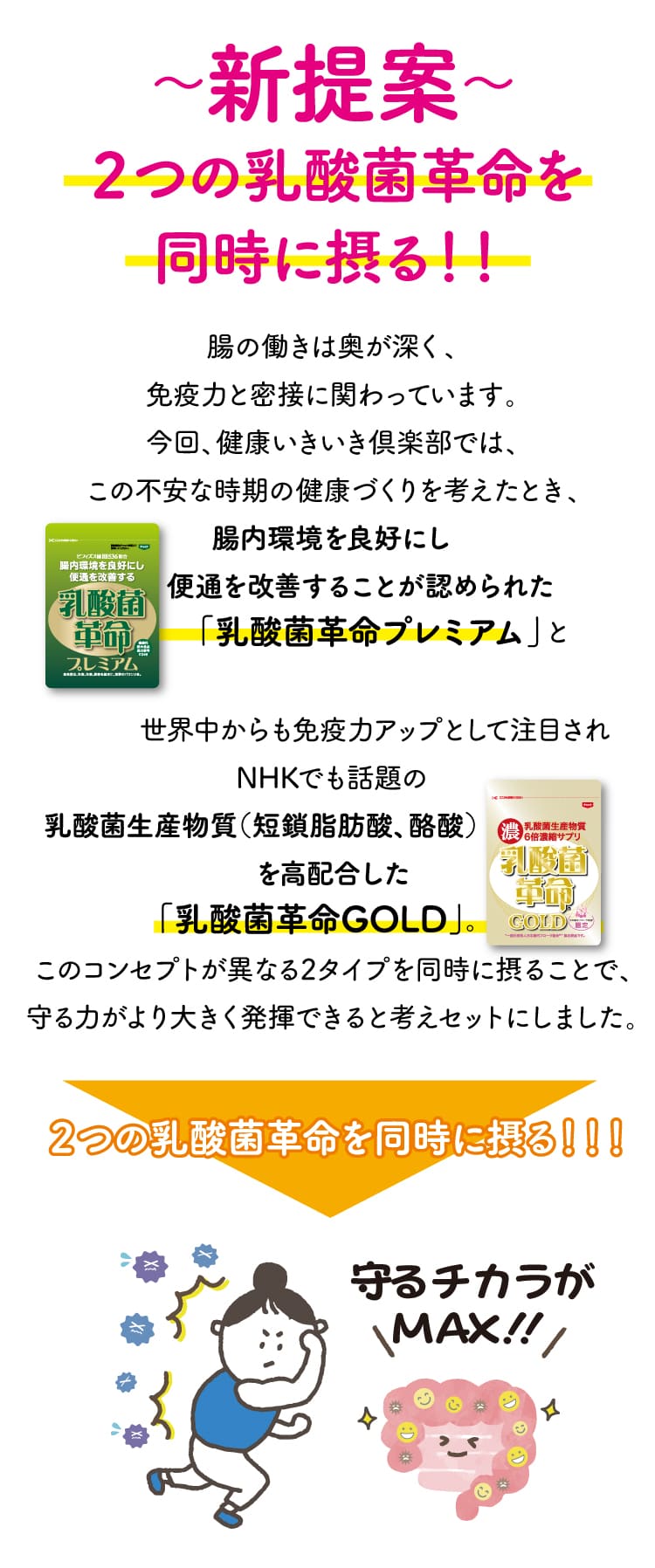 新提案